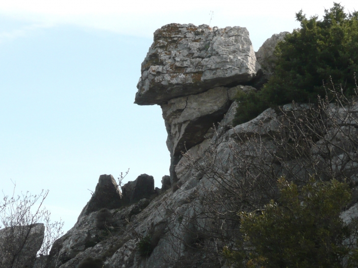 En montant vers le Baou - Saint-Jeannet