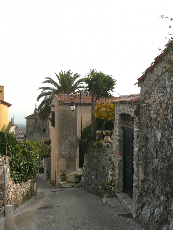 Chemin du Baou - Saint-Jeannet