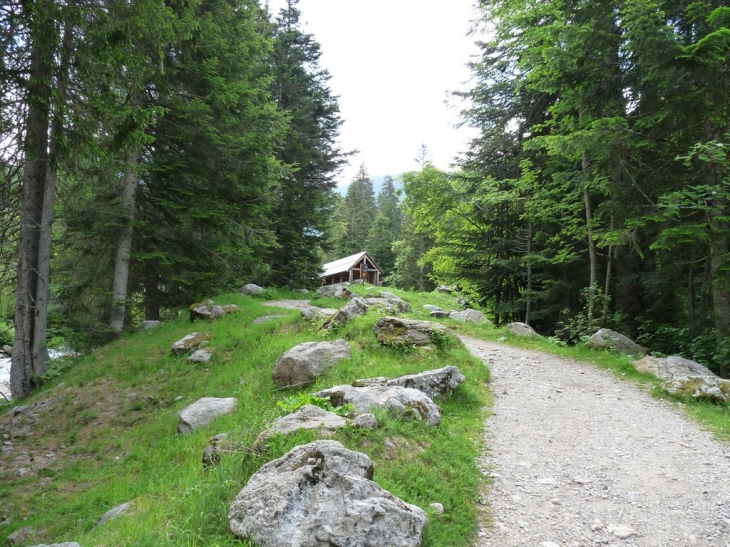 Visite du parc  - Saint-Martin-Vésubie