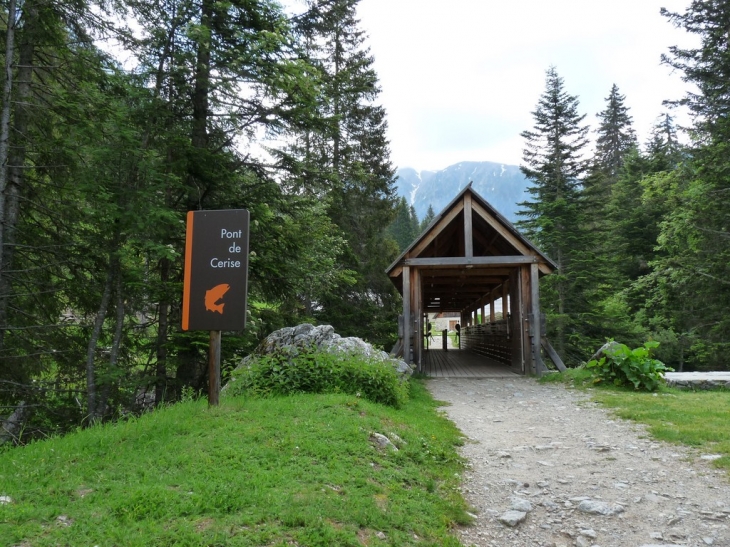 Visite du parc  - Saint-Martin-Vésubie