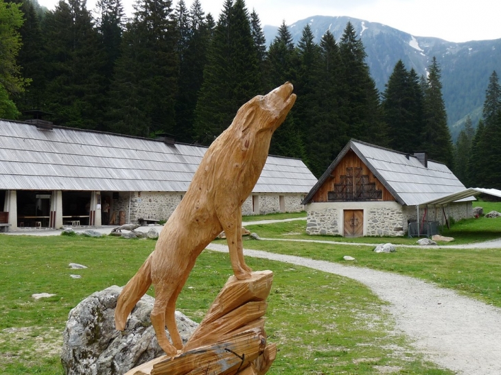 Visite du parc  - Saint-Martin-Vésubie