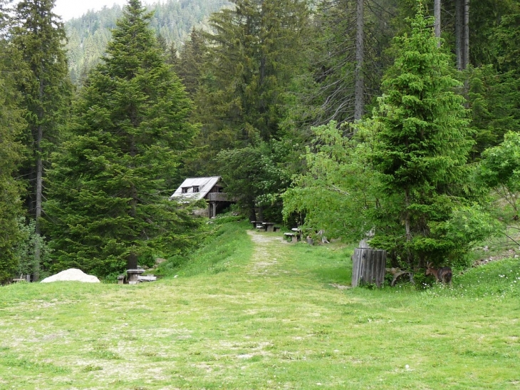 Visite du parc  - Saint-Martin-Vésubie