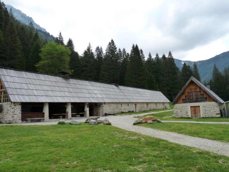 Visite du parc  - Saint-Martin-Vésubie