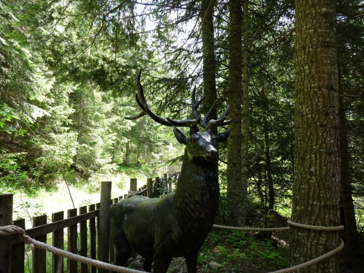 Visite du parc  - Saint-Martin-Vésubie