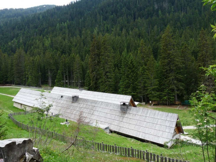 Visite du parc  - Saint-Martin-Vésubie