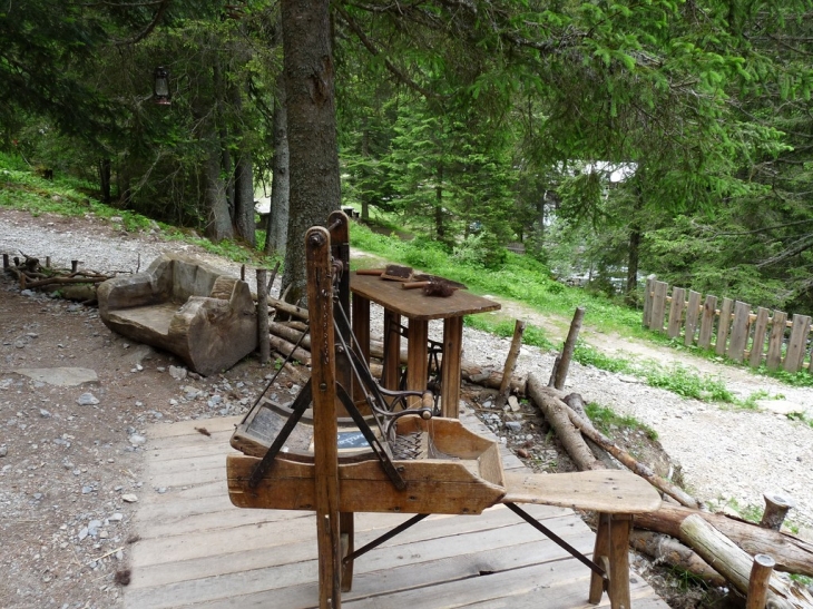 Visite du parc  - Saint-Martin-Vésubie