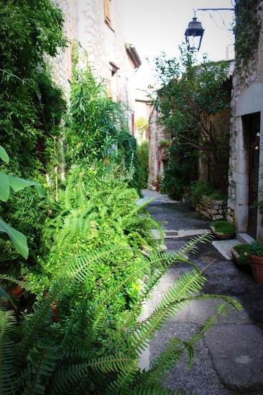 Ruelle de Saint Paul de Vence - Saint-Paul