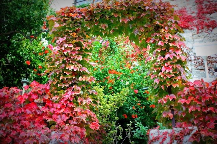 Couleurs à Saint Paul de Vence - Saint-Paul