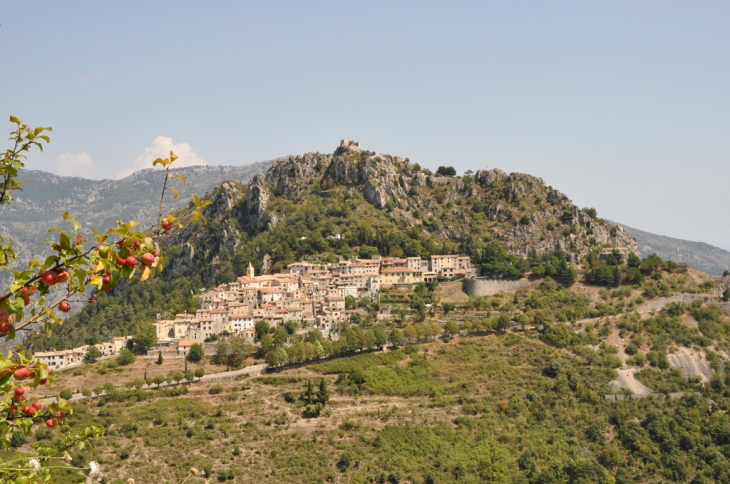 Sainte Agnès - Sainte-Agnès