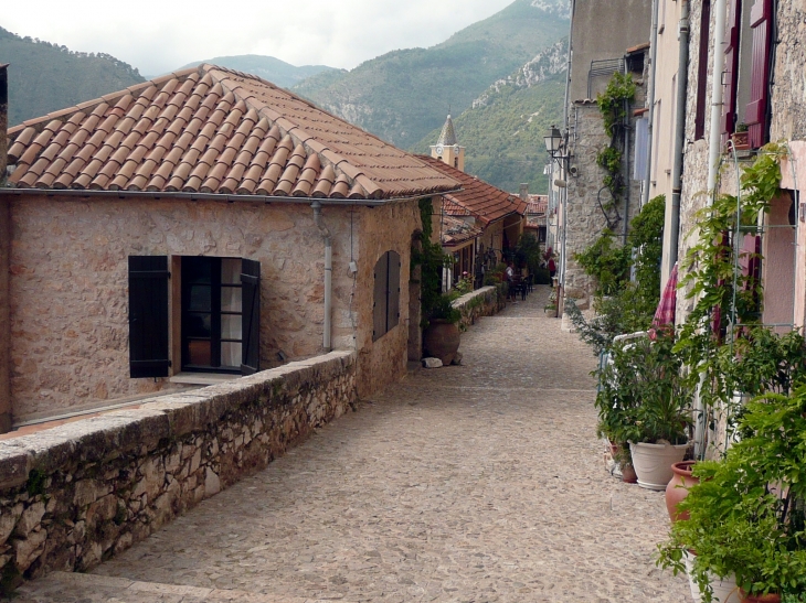 Rue des Sarasins - Sainte-Agnès