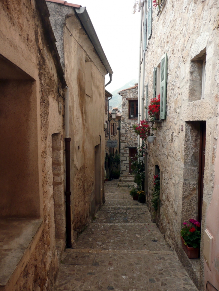 Rue des Sarasins - Sainte-Agnès