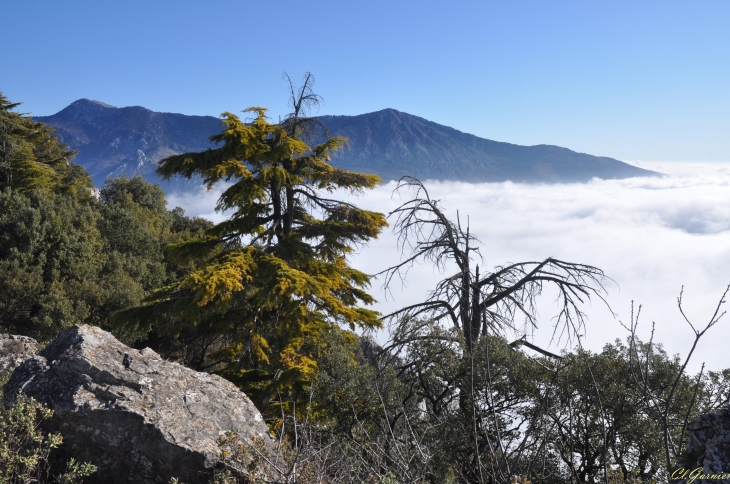 Mer de nuages - Sainte-Agnès