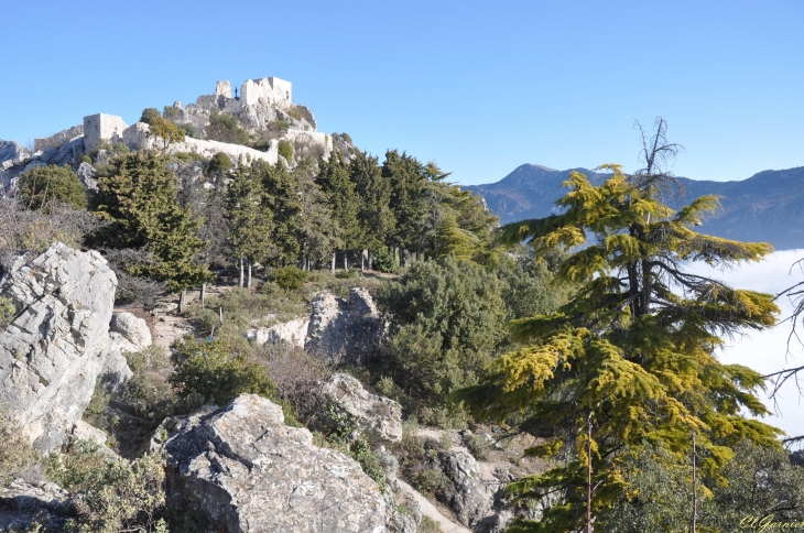 Château & Jardin médiéval - Sainte-Agnès