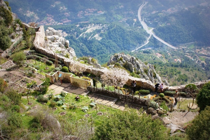 Le jardin médiéval de Sainte Agnès - Sainte-Agnès