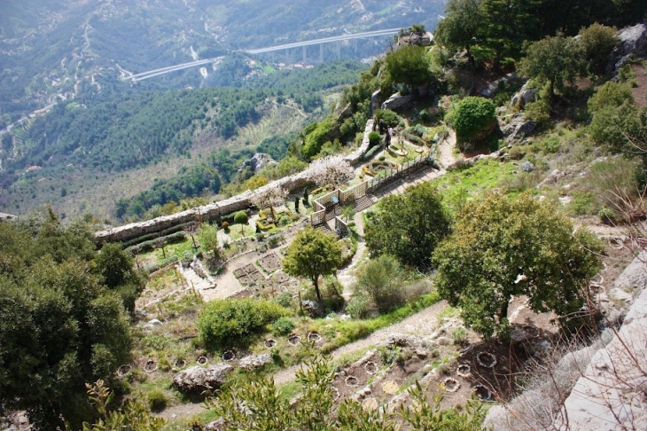 Le jardin médiéval de Sainte Agnès - Sainte-Agnès