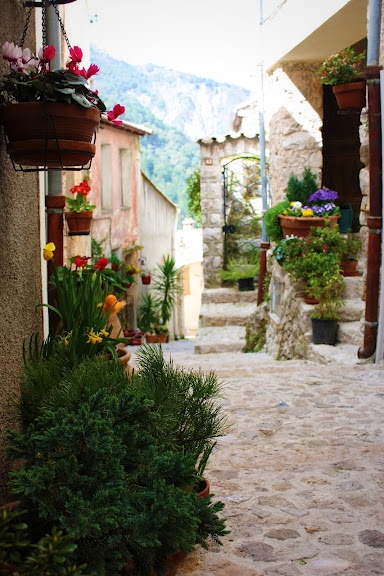 Ruelle de Sainte Agnès - Sainte-Agnès