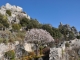 Photo précédente de Sainte-Agnès Amandier -  Château & Jardin médiéval