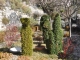 Photo suivante de Sainte-Agnès Château & Jardin médiéval