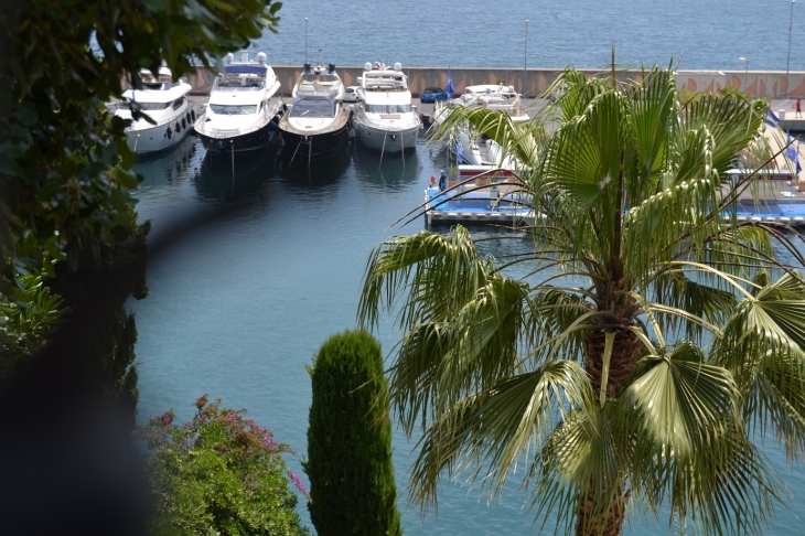 Le Port - Théoule-sur-Mer