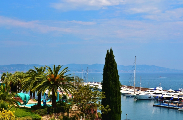 Le Port - Théoule-sur-Mer