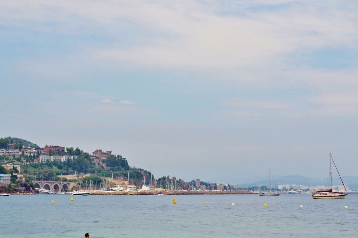 Le Port - Théoule-sur-Mer