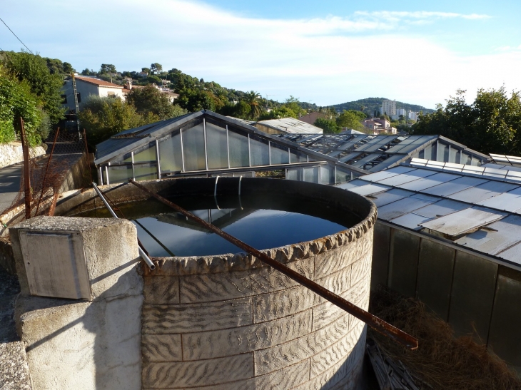 Réserve d'eau pour les serres - Vallauris