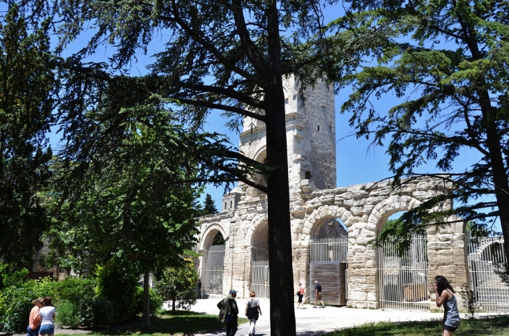 Les Arènes  - Arles