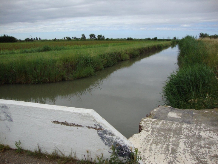 Un canal au lieu-dit Pont-de-Gimeaux - Arles