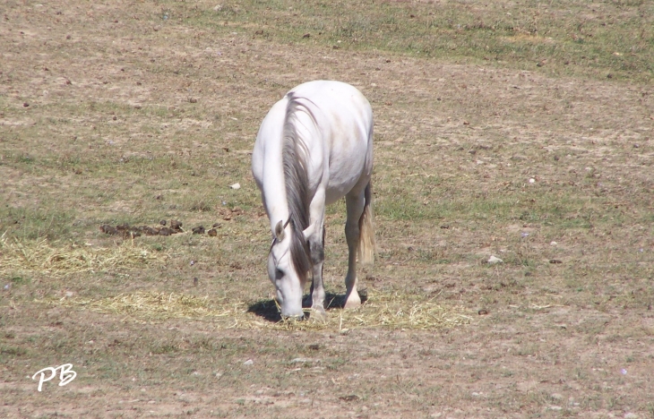  - Belcodène