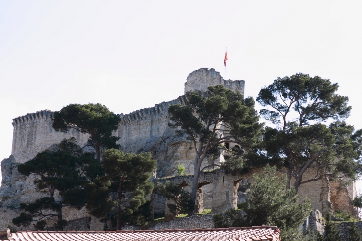 Château médieval de Boulbon