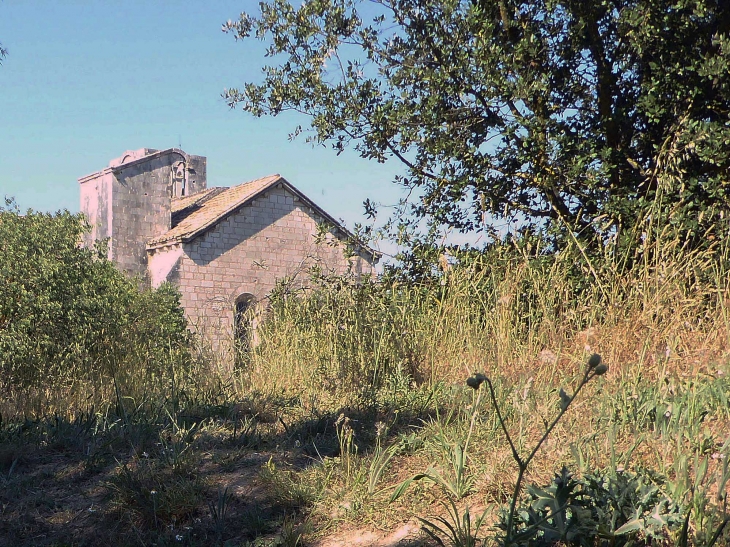 Un aperçu de l'abbaye de Silvacane - La Roque-d'Anthéron