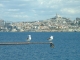 Photo précédente de Marseille Marseille vu du Chateau d'If