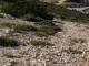 Balade dans les calanques