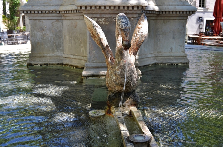 Détail Fontaine - Maussane-les-Alpilles