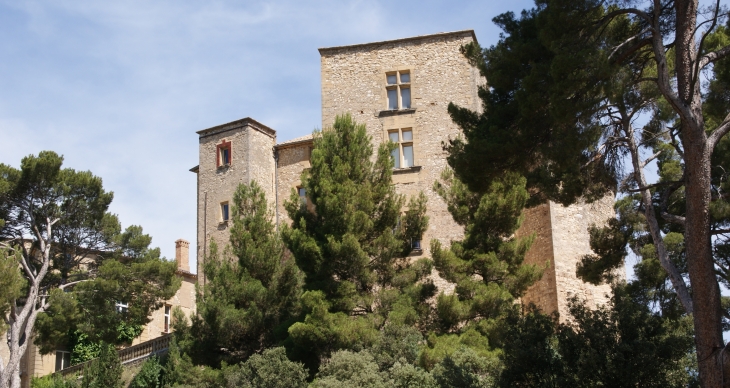   Château de Meyrargues 17 Em Siècle