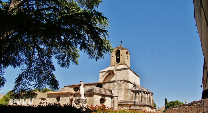    église St Baudile - Noves