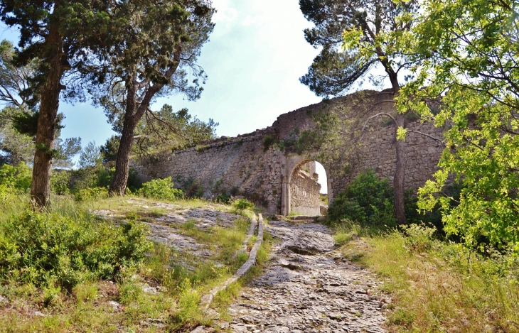 Ruines du Château du Duc de Guise - Orgon