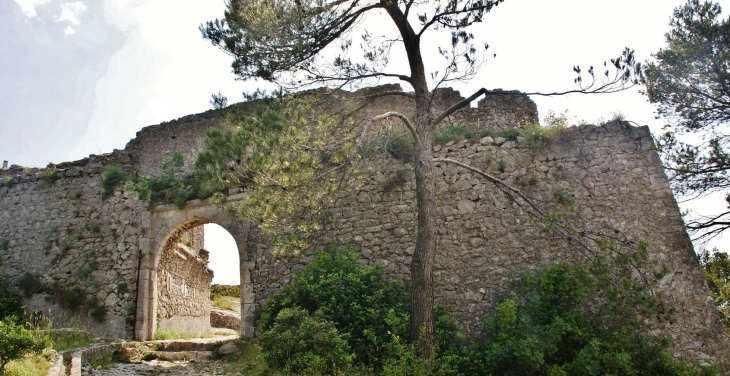 Ruines du Château du Duc de Guise - Orgon