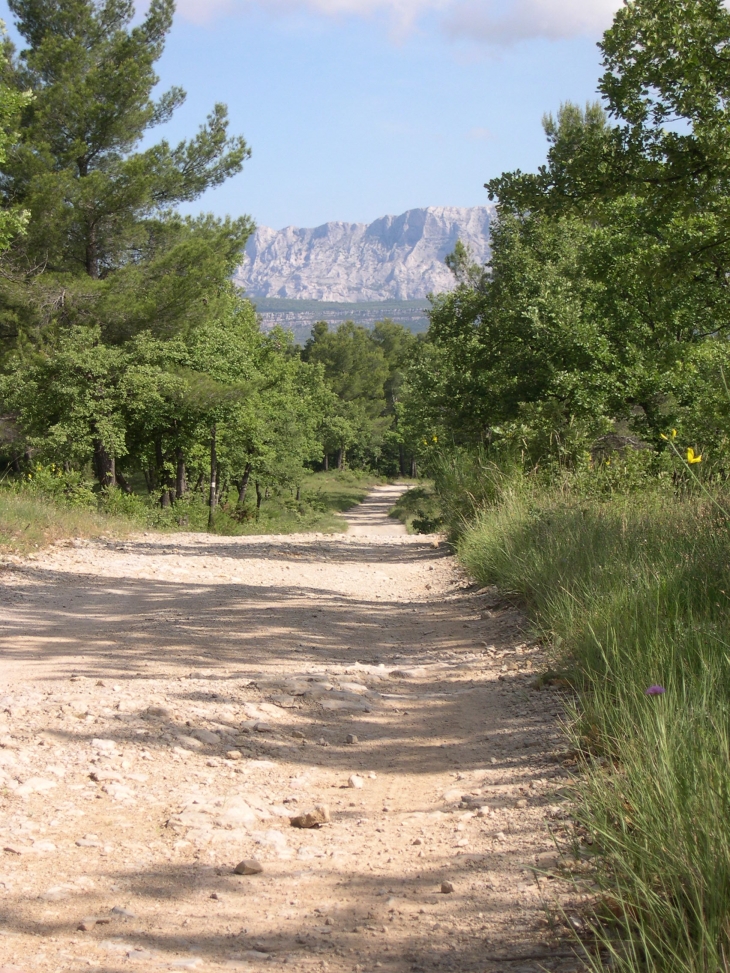 Chemin de randonnée - - Peynier