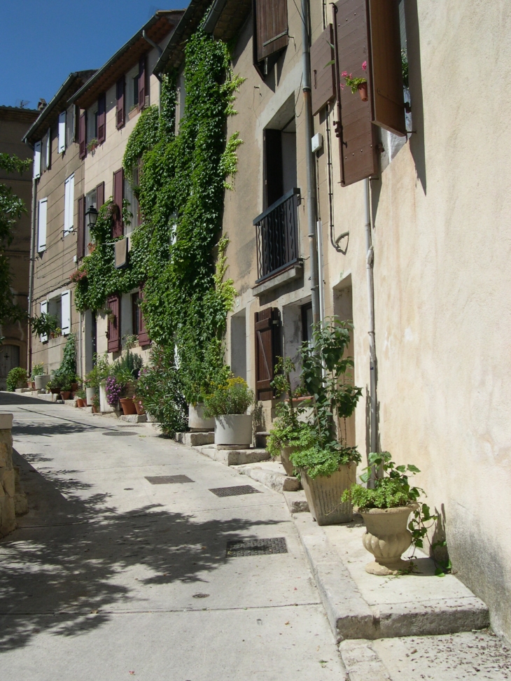 Rue des Ormeaux  - Peynier