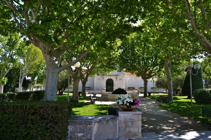 Jardin de la Mairie - Saint-Martin-de-Crau