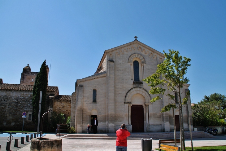 église Saint-Martin - Saint-Martin-de-Crau