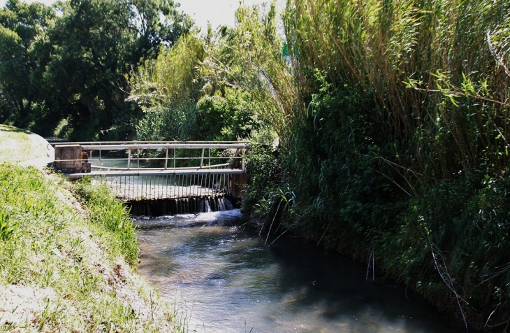  - Saint-Martin-de-Crau