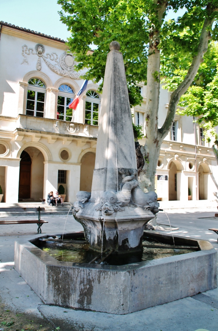 Fontaine - Saint-Rémy-de-Provence