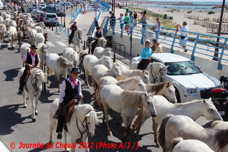 Journée du Cheval  2012 - Saintes-Maries-de-la-Mer