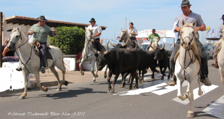 IO  Novembre      Abrivados  dans les rues du Village - Saintes-Maries-de-la-Mer