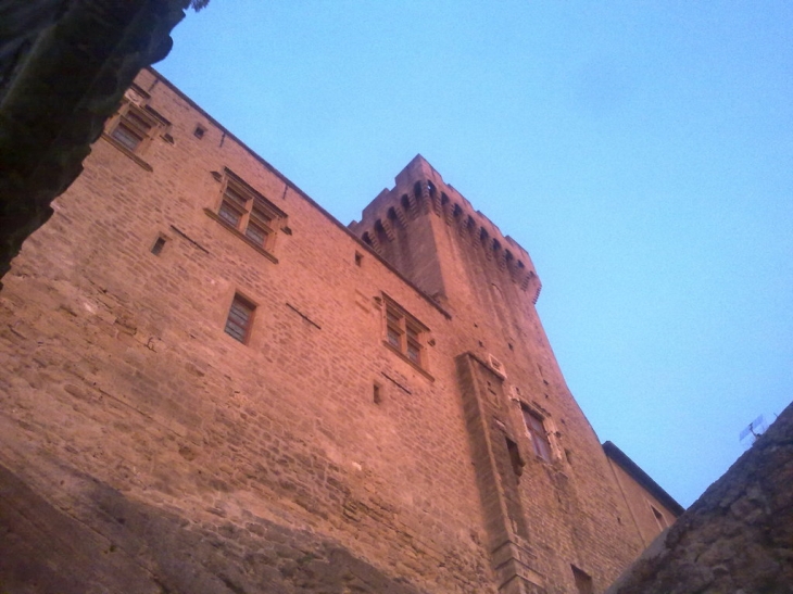 Chateau de l'Empéri - vue rue des Lices - Salon-de-Provence