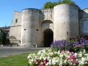 Porte de la condamine - Tarascon