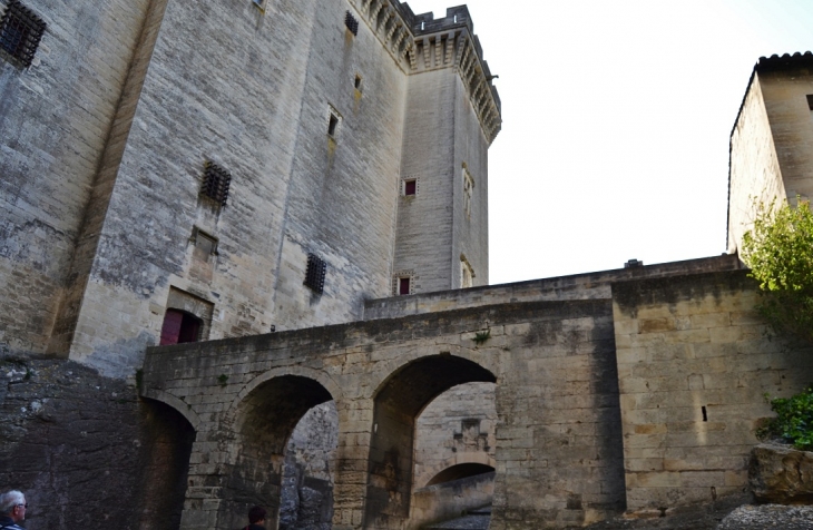 Le Château - Tarascon