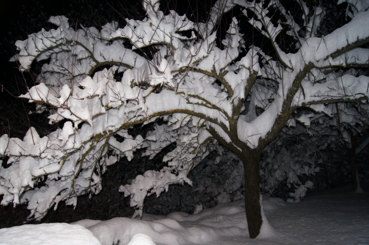 ARBRE SOUS SON MANTEAU DE NEIGE - La Motte-en-Champsaur